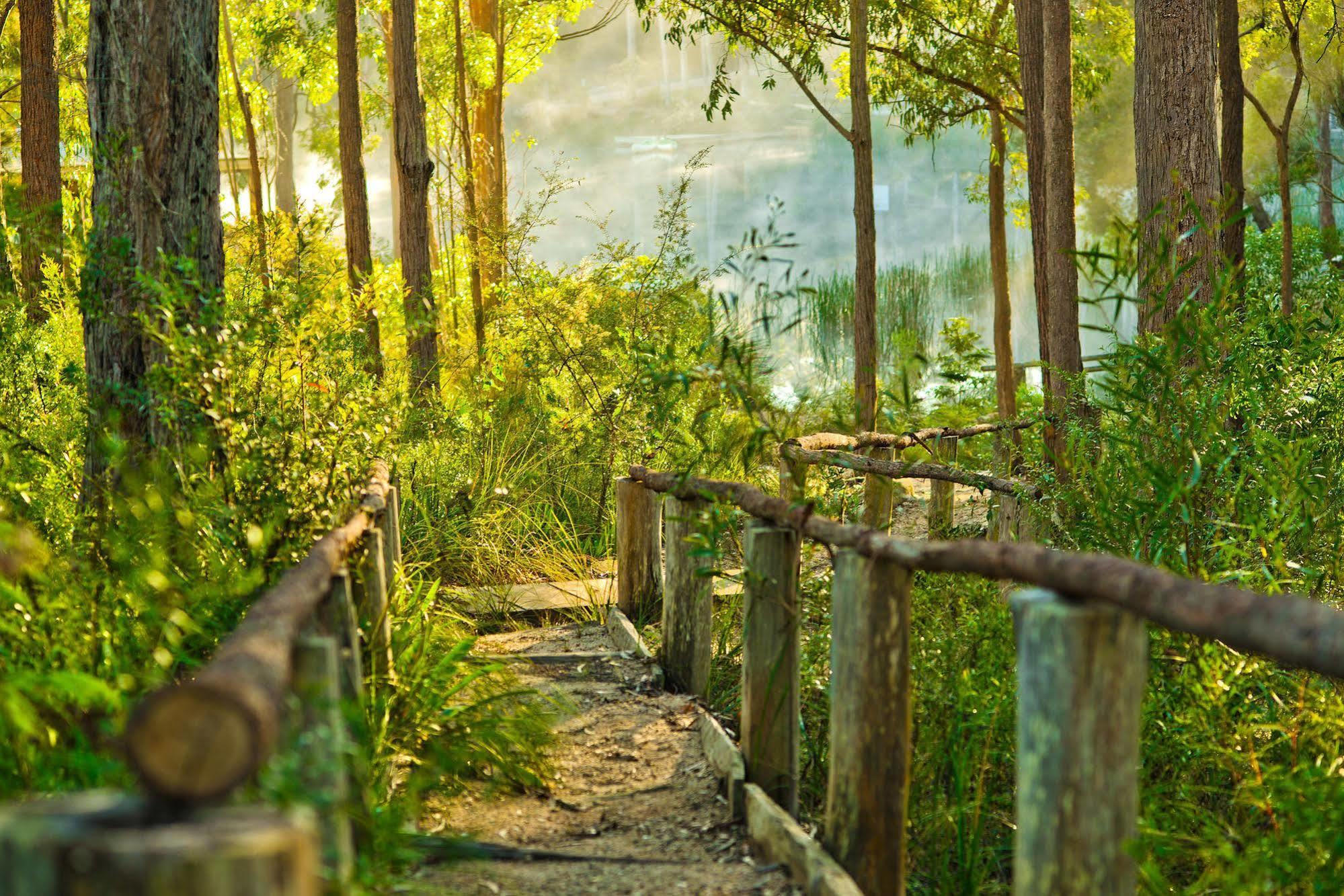 Kianinny Bush Cottages Tathra Dış mekan fotoğraf